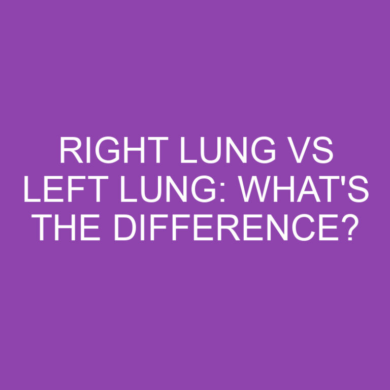 Right Lung Vs Left Lung: What’s the Difference?