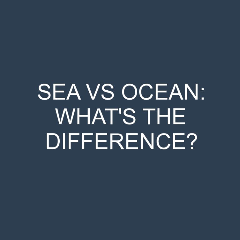 Sea Vs Ocean: What’s the Difference?