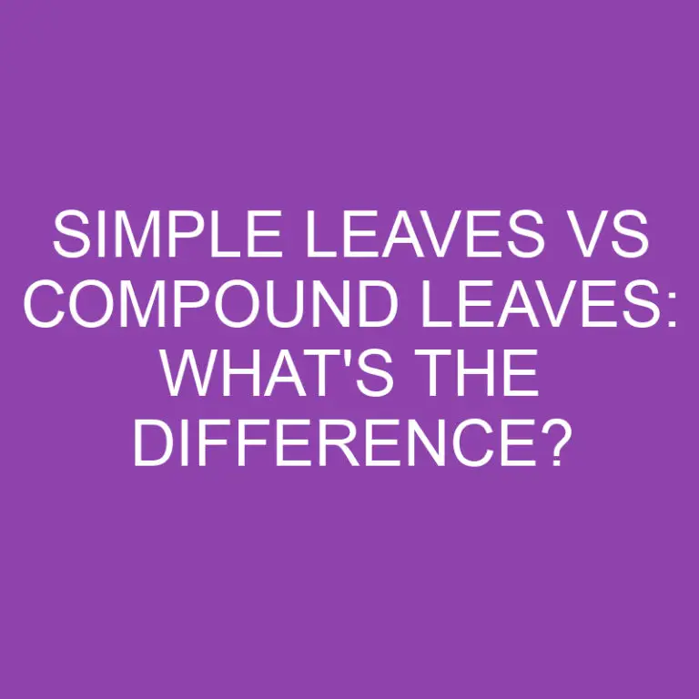 Simple Leaves Vs Compound Leaves: What’s the Difference?