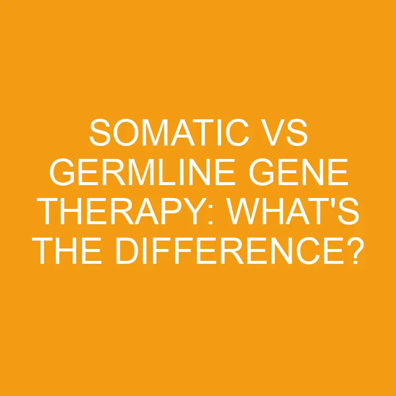 somatic vs germline gene therapy whats the difference 2838