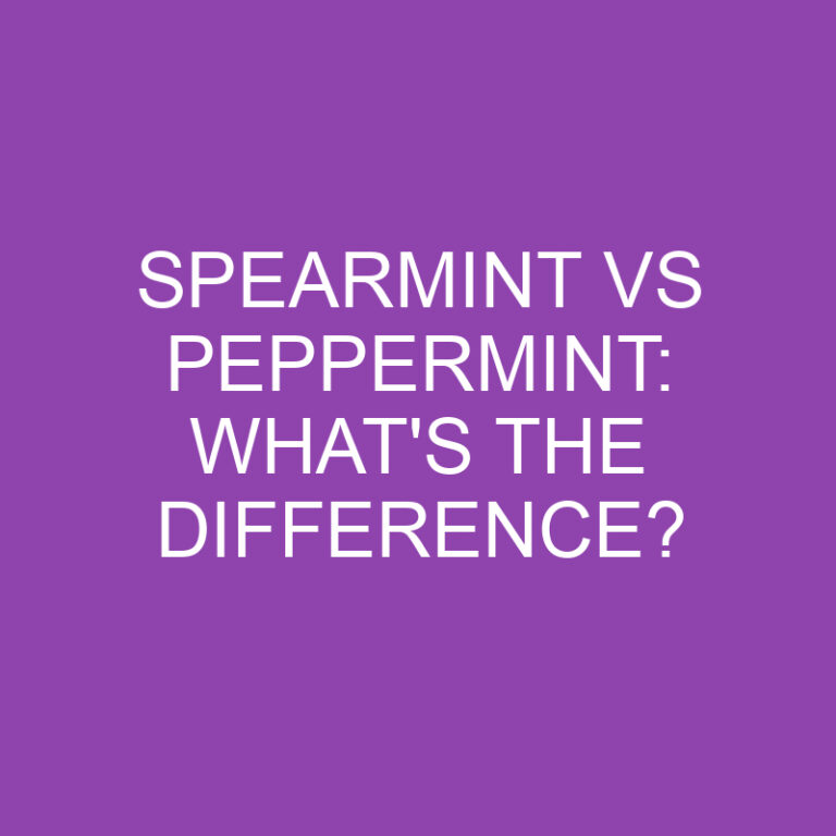 Spearmint Vs Peppermint: What’s the Difference?
