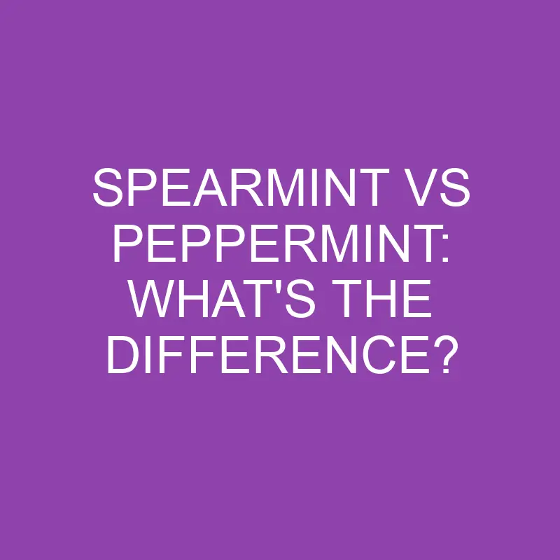 spearmint vs peppermint whats the difference 3127