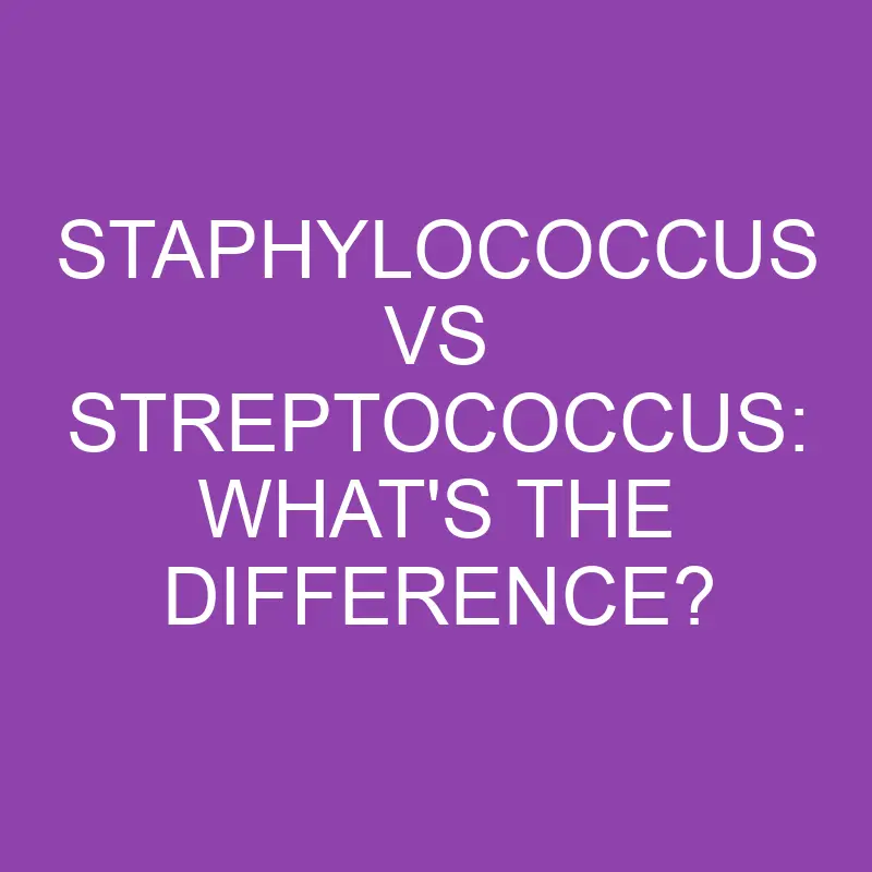 staphylococcus vs streptococcus whats the difference 3213