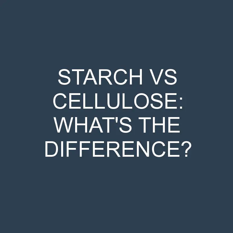 starch vs cellulose whats the difference 1953