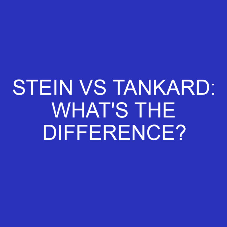 Stein Vs Tankard: What’s The Difference?