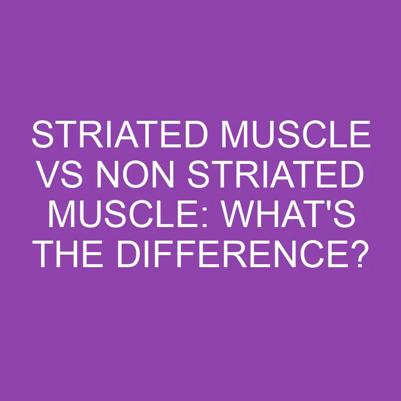 striated muscle vs non striated muscle whats the difference 3223