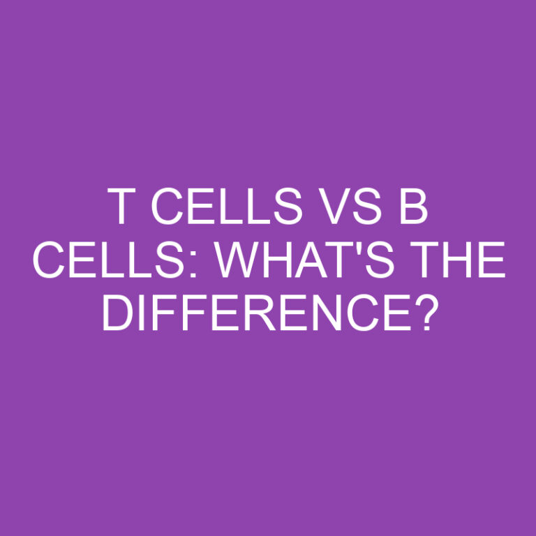 T Cells Vs B Cells: What’s the Difference?