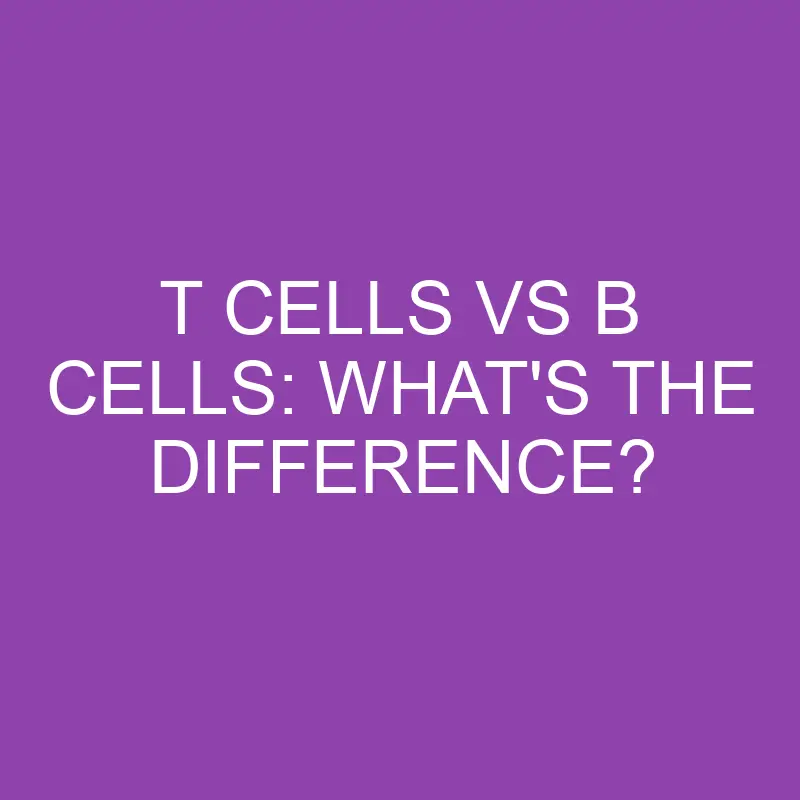 t cells vs b cells whats the difference 3221