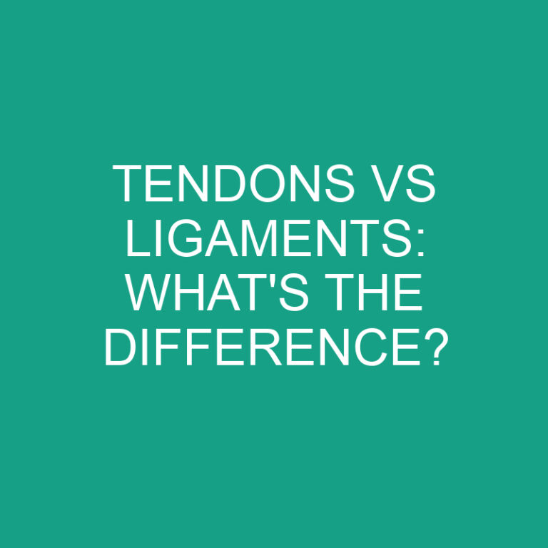 Tendons Vs Ligaments: What’s the Difference?