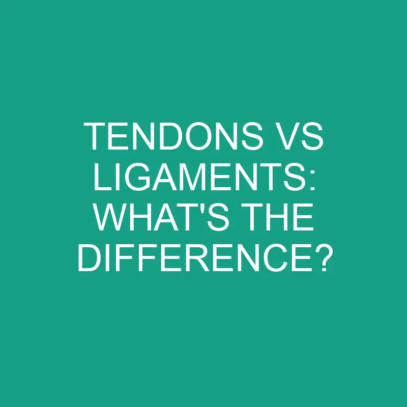 tendons vs ligaments whats the difference 1935