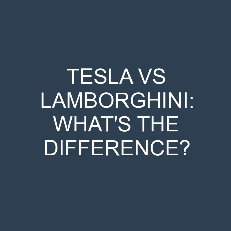 tesla vs lamborghini whats the difference 2081 1