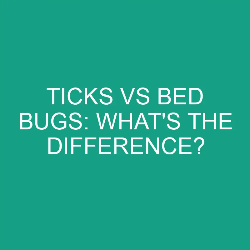 ticks vs bed bugs whats the difference 2860