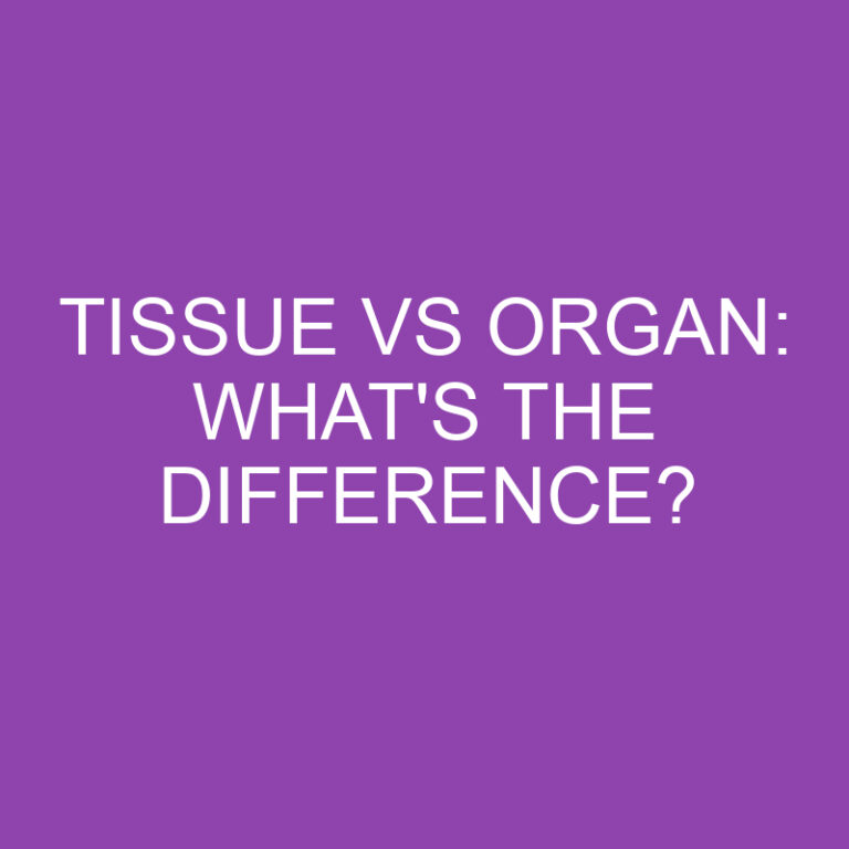 Tissue Vs Organ: What’s the Difference?