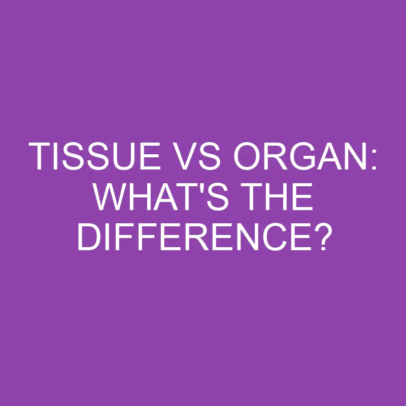 Tissue Vs Organ: What’s the Difference?