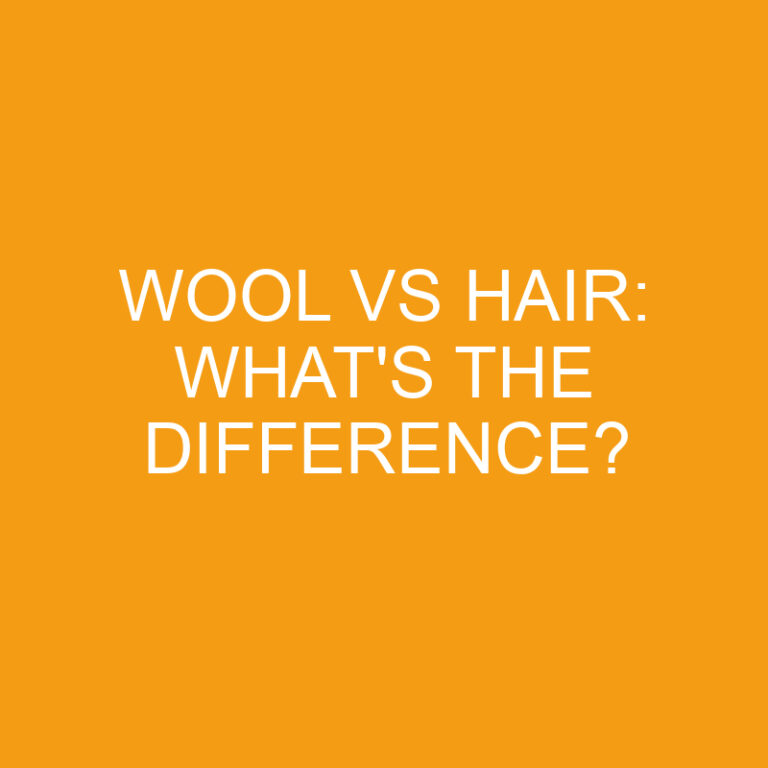 Wool Vs Hair: What’s The Difference?