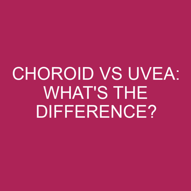 Choroid Vs Uvea: What’s The Difference?