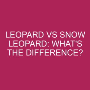 Leopard Vs Snow Leopard: What's The Difference? » Differencess