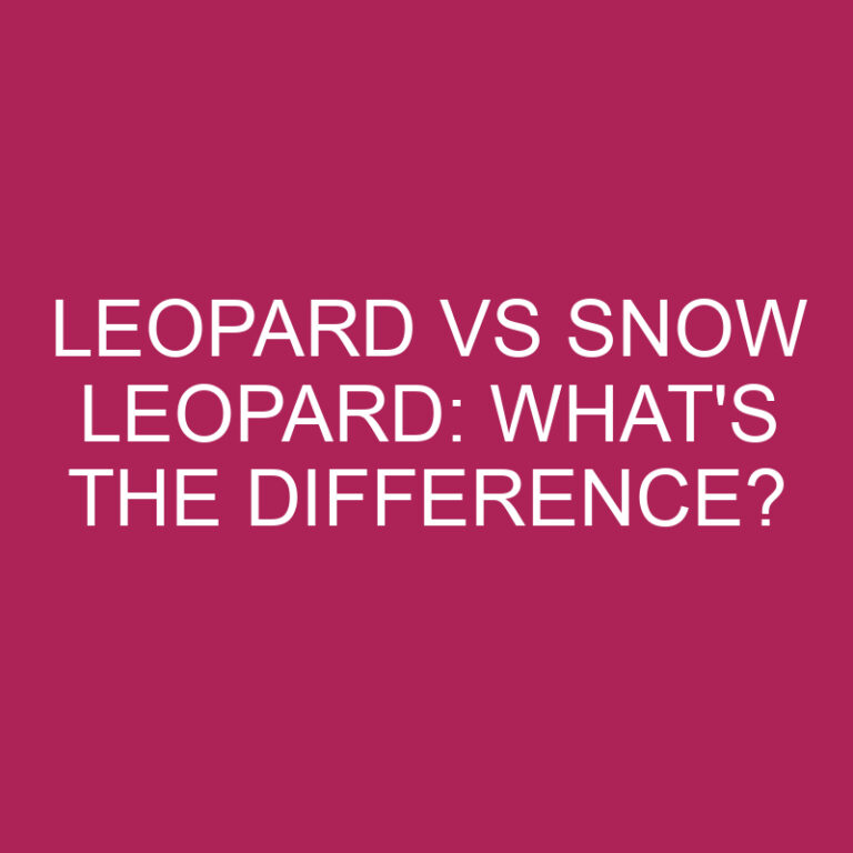 Leopard Vs Snow Leopard: What’s The Difference?