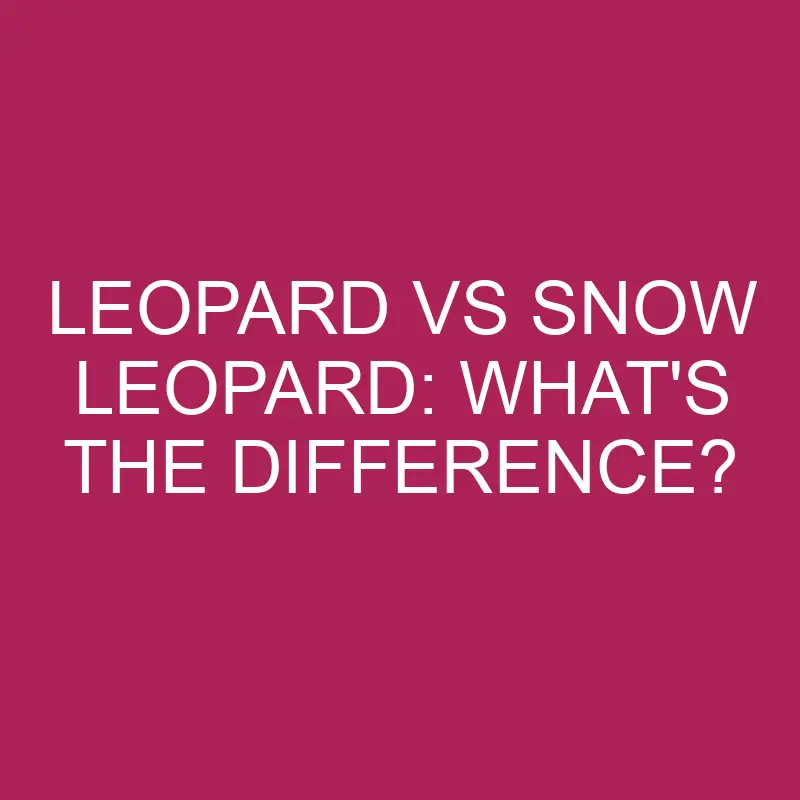 leopard vs snow leopard whats the difference 4963