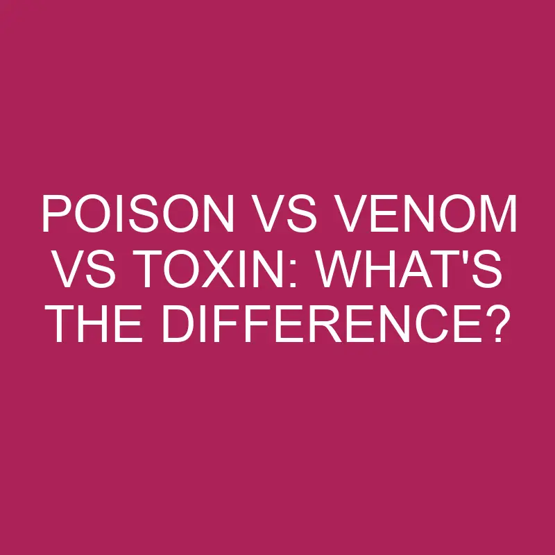 poison vs venom vs toxin whats the difference 5260