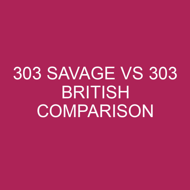 303 Savage Vs 303 British Comparison