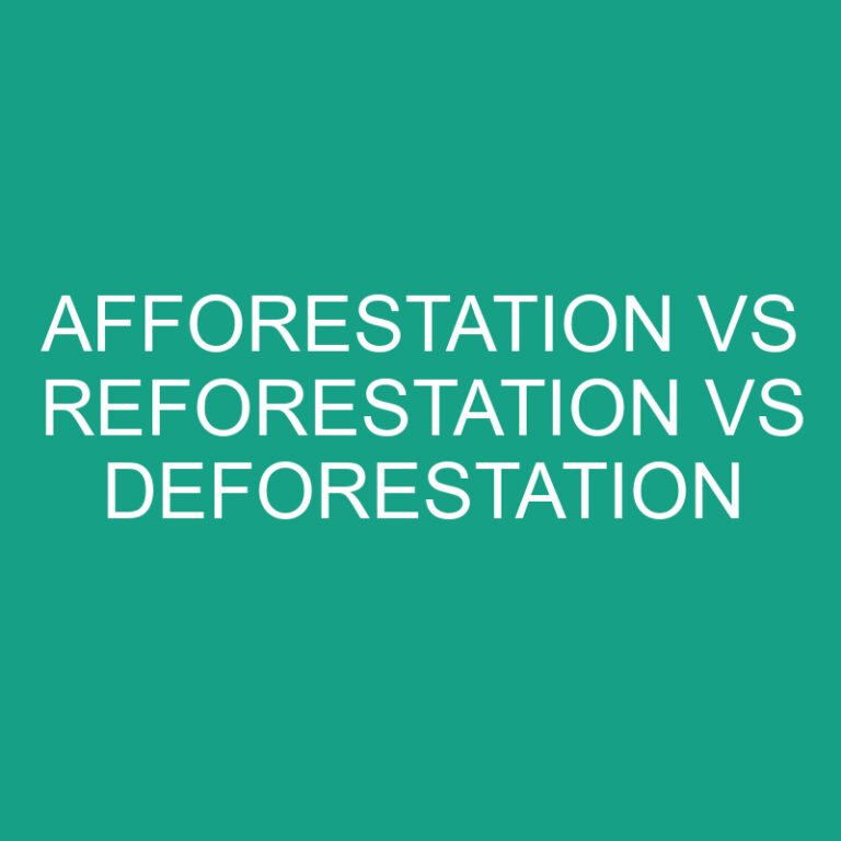 Afforestation vs Reforestation vs Deforestation