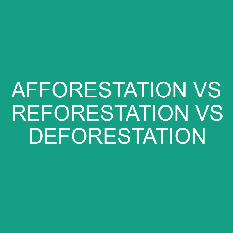 afforestation vs reforestation vs deforestation 5977