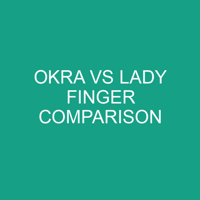 Okra Vs Lady Finger Comparison
