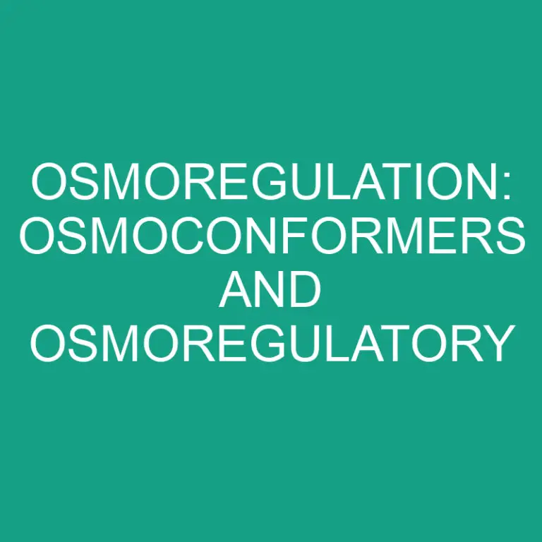 Osmoregulation: Osmoconformers and Osmoregulatory