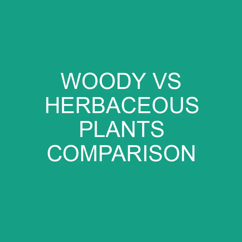 woody vs herbaceous plants comparison 5971