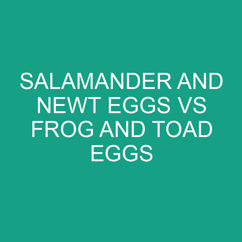 Salamander and Newt Eggs vs Frog and Toad Eggs