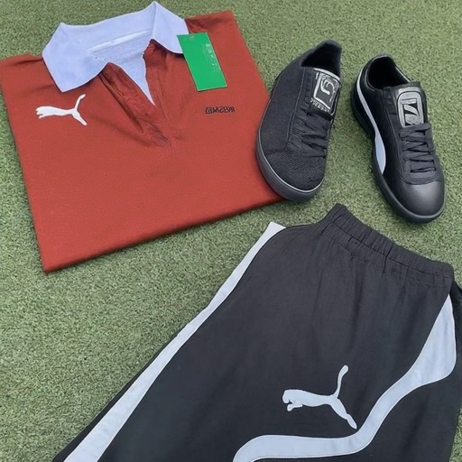 Slazenger Logo Vs Puma Logo Comparison » Differencess