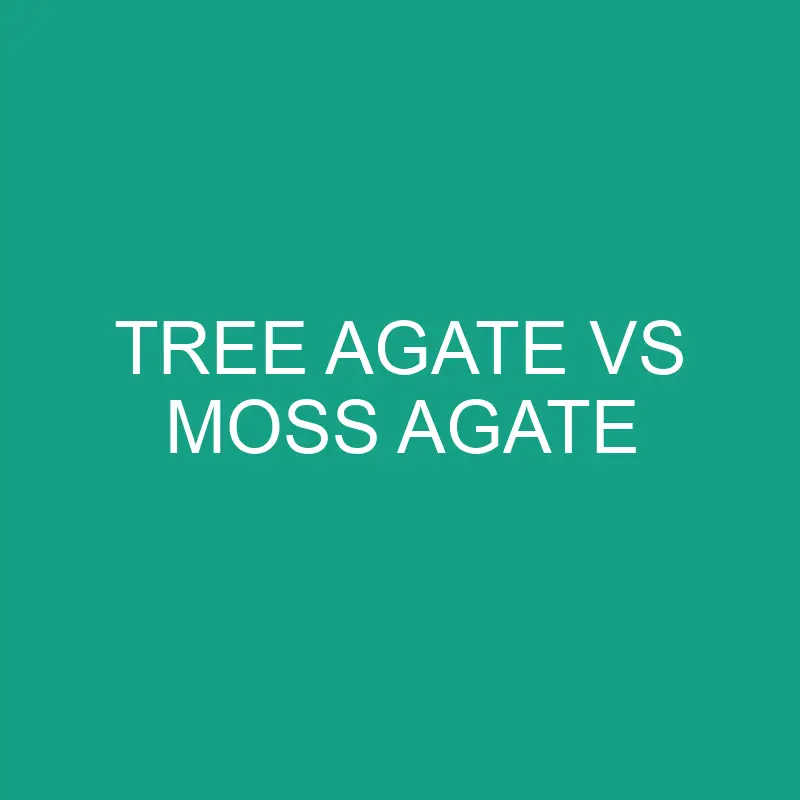 tree agate vs moss agate 6527 1