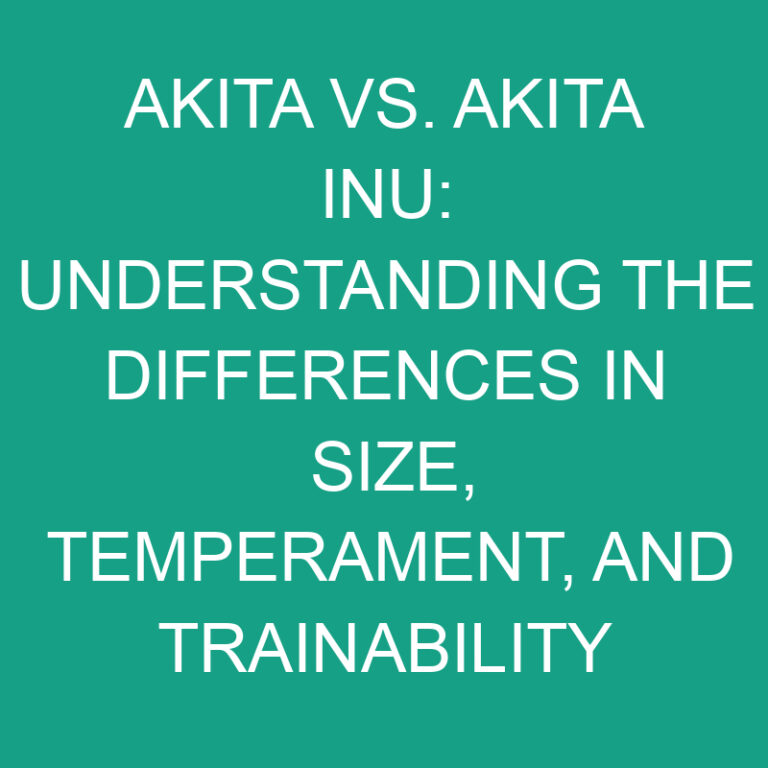 Akita vs. Akita Inu: Size, Temperament, and Trainability