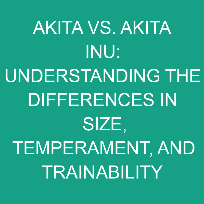 Akita vs. Akita Inu: Size, Temperament, and Trainability 1 akita vs akita inu understanding the differences in size temperament and trainability 11829