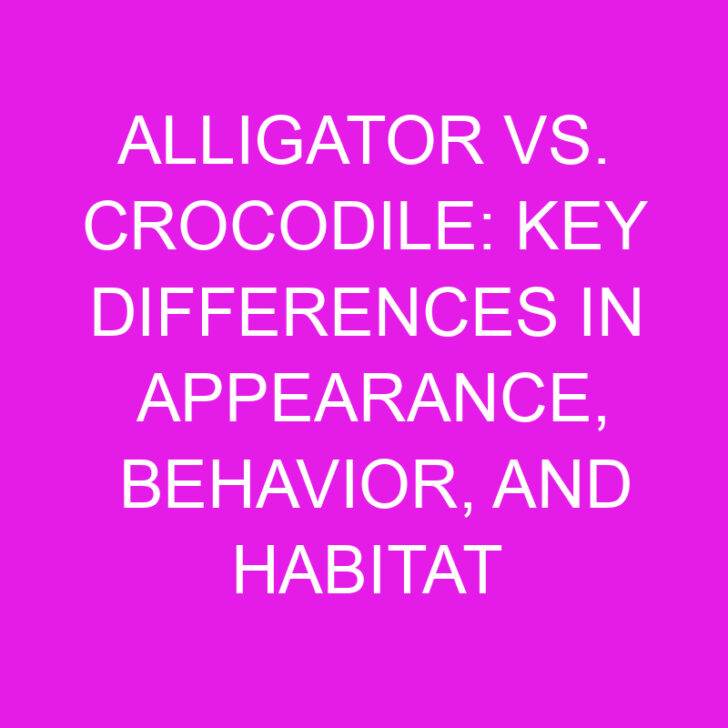 Alligator vs. Crocodile: Key Differences in Appearance, Behavior, and Habitat