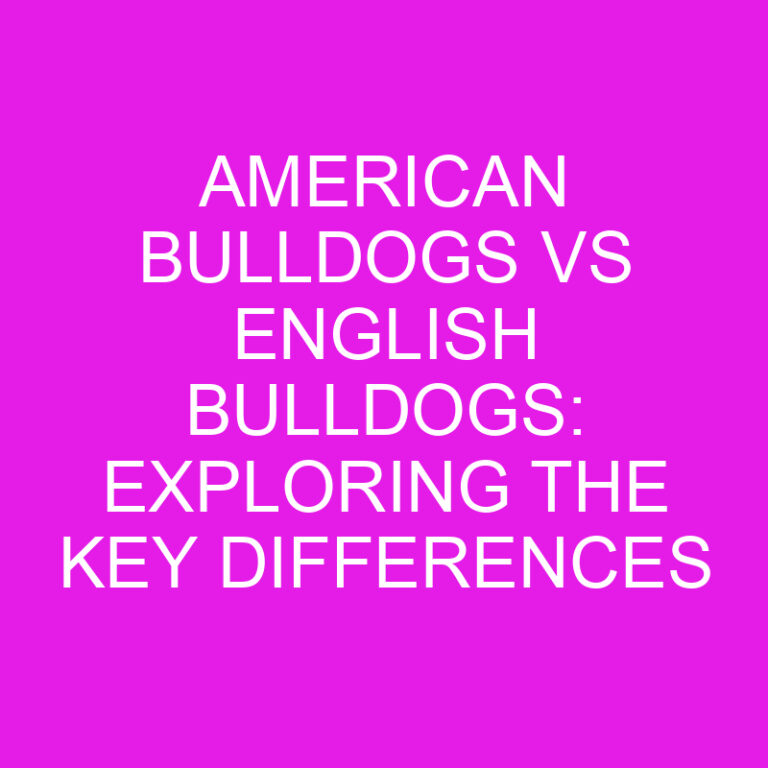 American Bulldogs vs English Bulldogs: Exploring the Key Differences