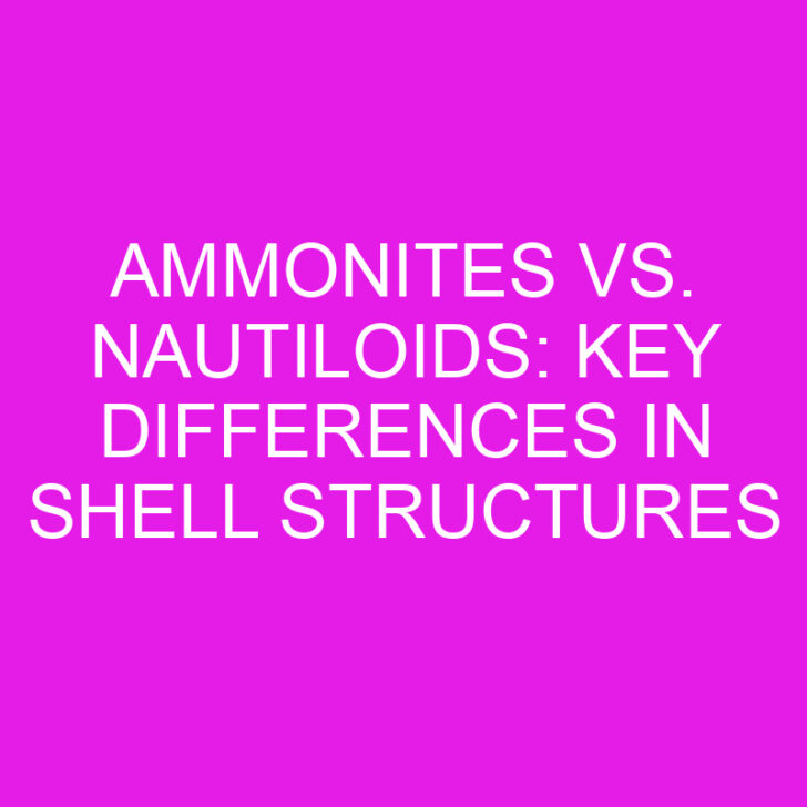 Ammonites vs. Nautiloids: Key Differences in Shell Structures