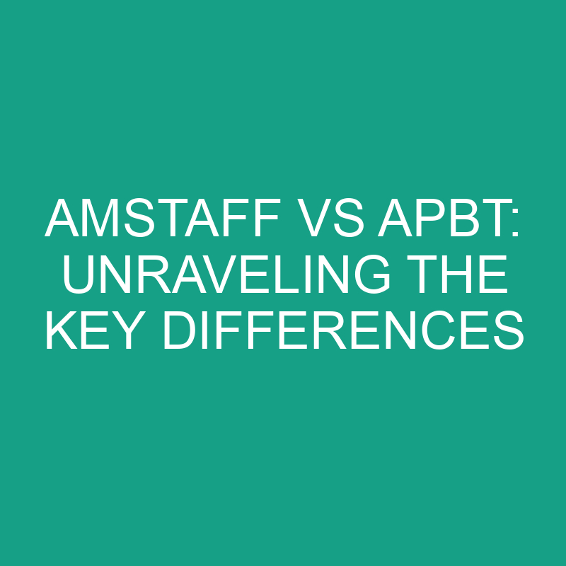 amstaff vs apbt unraveling the key differences 11808