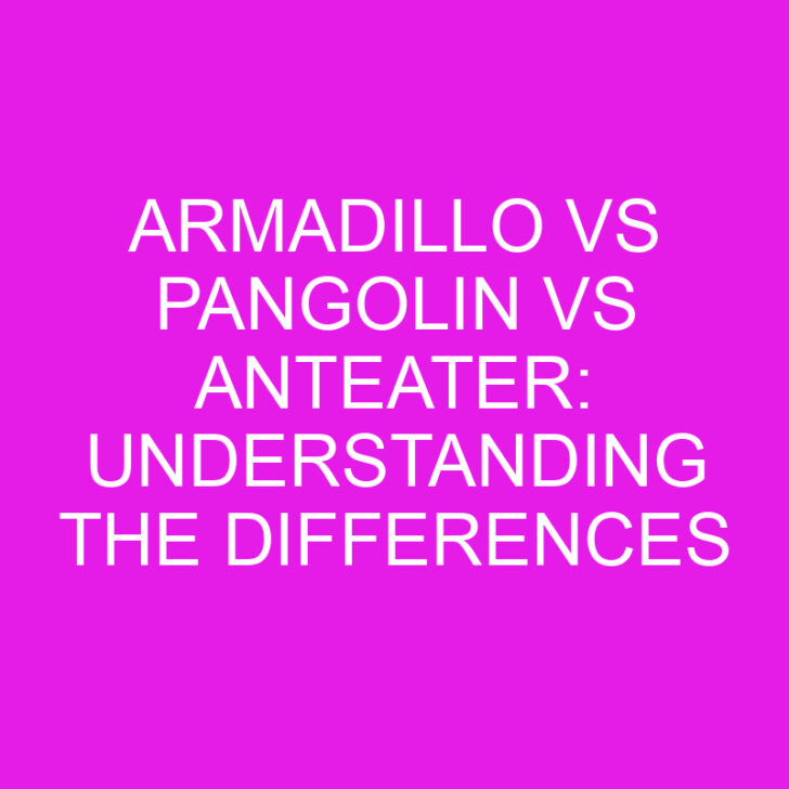 Armadillo vs Pangolin vs Anteater: Understanding the Differences