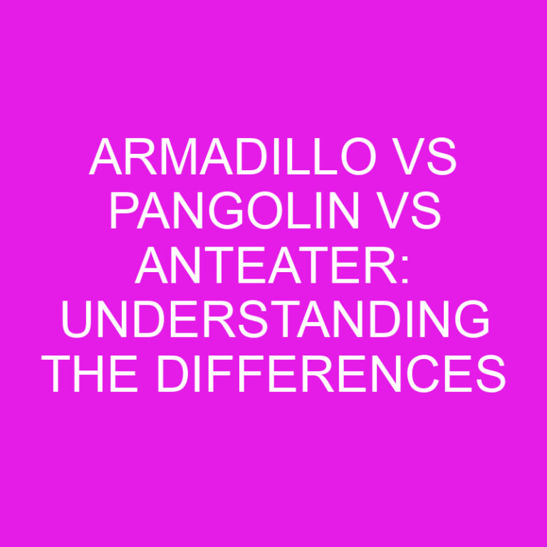 Armadillo vs Pangolin vs Anteater: Understanding the Differences
