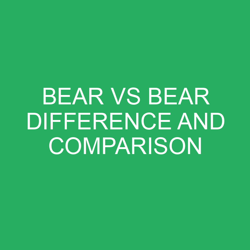 Bear Vs Bear Difference and Comparison