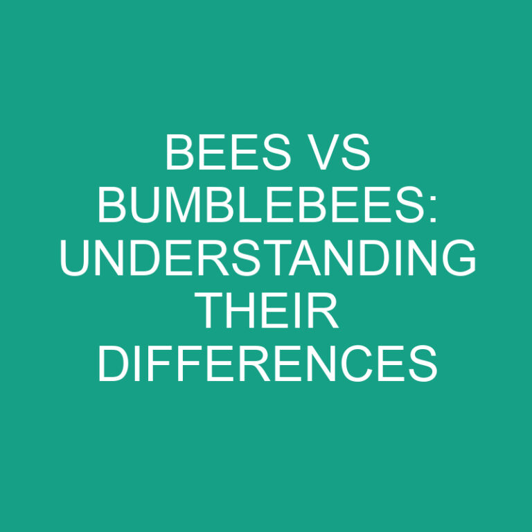 Bees vs Bumblebees: Understanding Their Differences