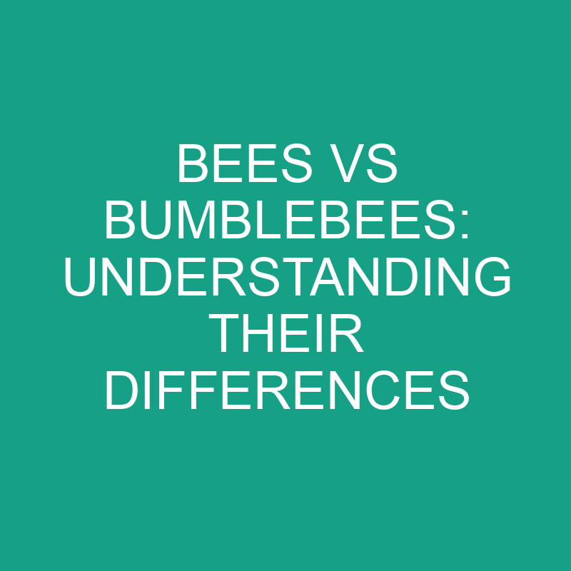 bees vs bumblebees understanding their differences 11834