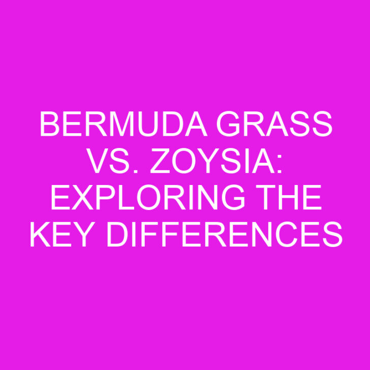 Bermuda Grass vs. Zoysia: Exploring the Key Differences