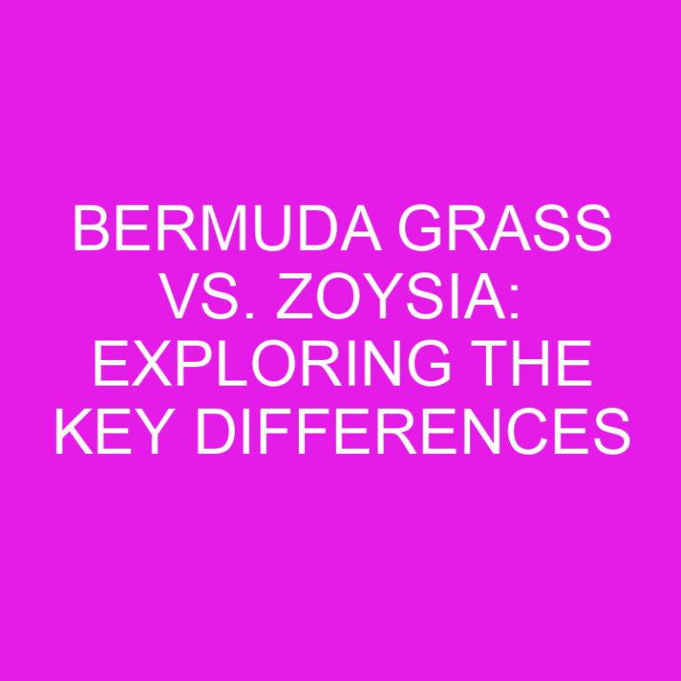 Bermuda Grass vs. Zoysia: Exploring the Key Differences