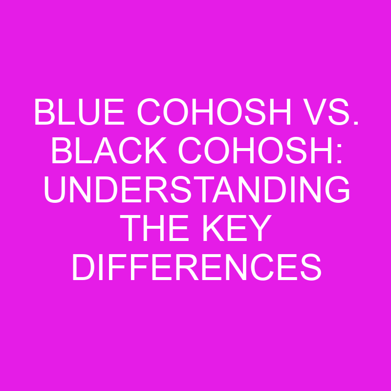 blue cohosh vs black cohosh understanding the key differences 11944