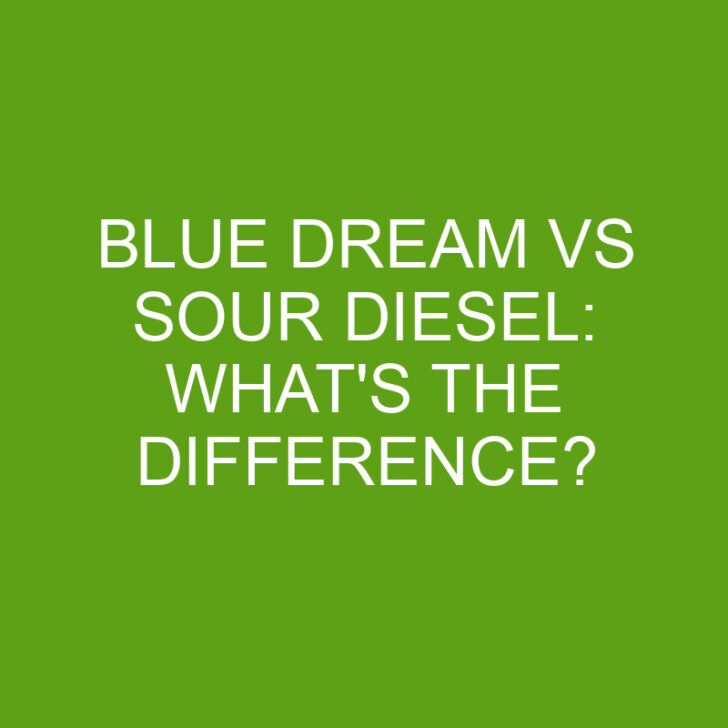 Blue Dream Vs Sour Diesel: What’s The Difference?