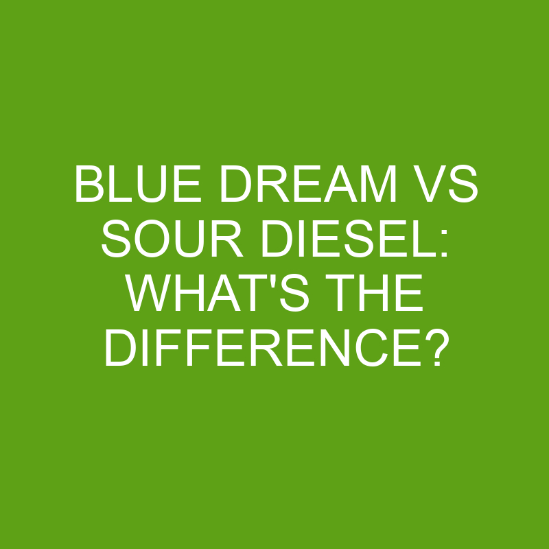 blue dream vs sour diesel whats the difference 5765