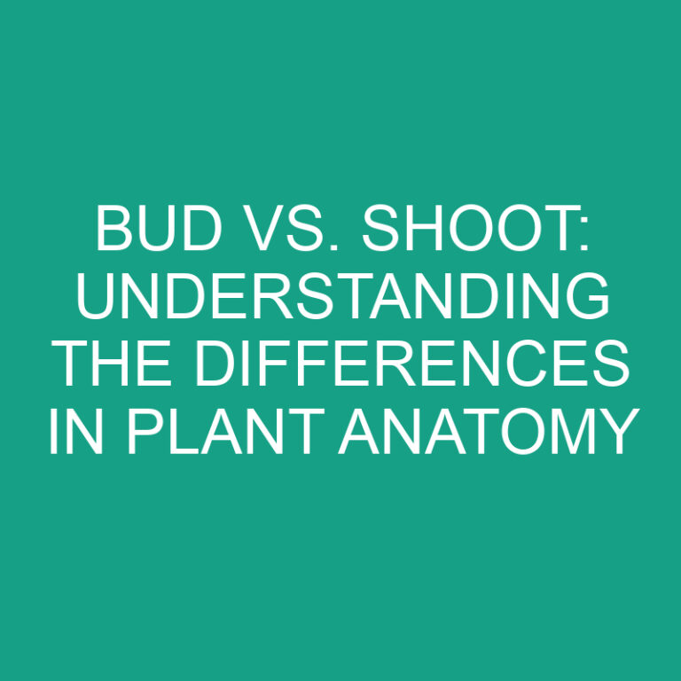 Bud vs. Shoot: Differences in Plant Anatomy 6 Bud vs. Shoot: Differences in Plant Anatomy